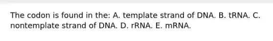 The codon is found in the: A. template strand of DNA. B. tRNA. C. nontemplate strand of DNA. D. rRNA. E. mRNA.