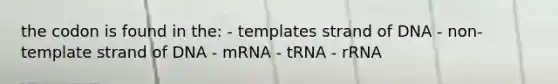 the codon is found in the: - templates strand of DNA - non-template strand of DNA - mRNA - tRNA - rRNA