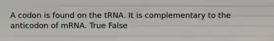 A codon is found on the tRNA. It is complementary to the anticodon of mRNA. True False