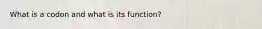 What is a codon and what is its function?