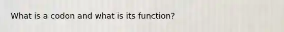 What is a codon and what is its function?