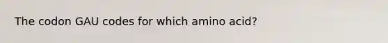 The codon GAU codes for which amino acid?