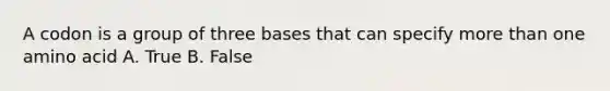 A codon is a group of three bases that can specify <a href='https://www.questionai.com/knowledge/keWHlEPx42-more-than' class='anchor-knowledge'>more than</a> one amino acid A. True B. False