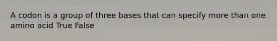 A codon is a group of three bases that can specify <a href='https://www.questionai.com/knowledge/keWHlEPx42-more-than' class='anchor-knowledge'>more than</a> one amino acid True False ​