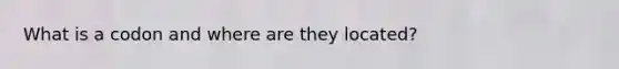What is a codon and where are they located?