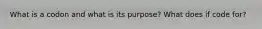 What is a codon and what is its purpose? What does if code for?