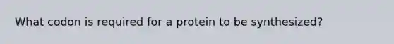 What codon is required for a protein to be synthesized?