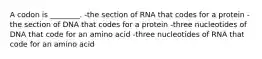 A codon is ________. -the section of RNA that codes for a protein -the section of DNA that codes for a protein -three nucleotides of DNA that code for an amino acid -three nucleotides of RNA that code for an amino acid