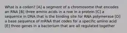 What is a codon? [A] a segment of a chromosome that encodes an RNA [B] three amino acids in a row in a protein [C] a sequence in DNA that is the binding site for RNA polymerase [D] a base sequence of mRNA that codes for a specific amino acid [E] three genes in a bacterium that are all regulated together