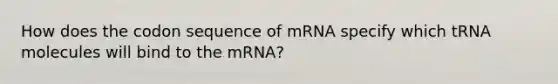 How does the codon sequence of mRNA specify which tRNA molecules will bind to the mRNA?