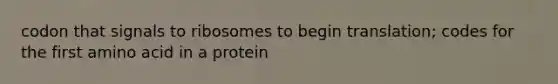 codon that signals to ribosomes to begin translation; codes for the first amino acid in a protein