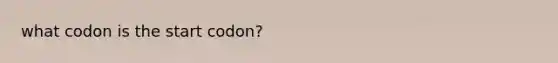 what codon is the start codon?