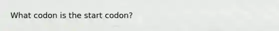 What codon is the start codon?