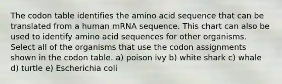 The codon table identifies the amino acid sequence that can be translated from a human mRNA sequence. This chart can also be used to identify amino acid sequences for other organisms. Select all of the organisms that use the codon assignments shown in the codon table. a) poison ivy b) white shark c) whale d) turtle e) Escherichia coli