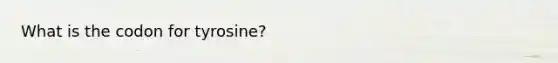 What is the codon for tyrosine?