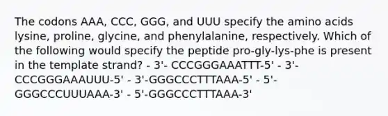 The codons AAA, CCC, GGG, and UUU specify the amino acids lysine, proline, glycine, and phenylalanine, respectively. Which of the following would specify the peptide pro-gly-lys-phe is present in the template strand? - 3'- CCCGGGAAATTT-5' - 3'-CCCGGGAAAUUU-5' - 3'-GGGCCCTTTAAA-5' - 5'-GGGCCCUUUAAA-3' - 5'-GGGCCCTTTAAA-3'