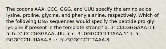 The codons AAA, CCC, GGG, and UUU specify the <a href='https://www.questionai.com/knowledge/k9gb720LCl-amino-acids' class='anchor-knowledge'>amino acids</a> lysine, proline, glycine, and phenylalanine, respectively. Which of the following DNA sequences would specify the peptide pro-gly-lys-phe if present in the template strand? a. 3'-CCCGGGAAATTT-5' b. 3'-CCCGGGAAAUUU-5' c. 3'-GGGCCCTTTAAA-5' d. 5'-GGGCCCUUUAAA-3' e. 5'-GGGCCCTTTAAA-3'