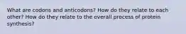 What are codons and anticodons? How do they relate to each other? How do they relate to the overall process of protein synthesis?