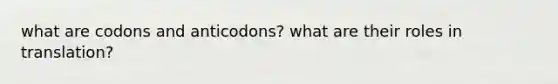 what are codons and anticodons? what are their roles in translation?