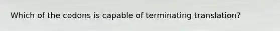 Which of the codons is capable of terminating translation?