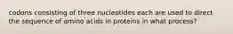 codons consisting of three nucleotides each are used to direct the sequence of amino acids in proteins in what process?