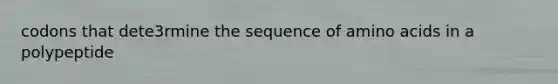 codons that dete3rmine the sequence of amino acids in a polypeptide