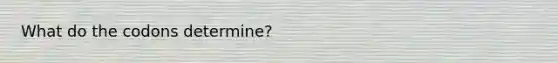 What do the codons determine?