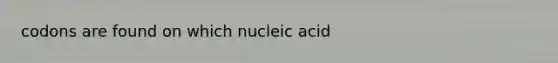 codons are found on which nucleic acid