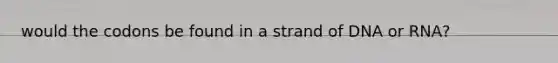 would the codons be found in a strand of DNA or RNA?