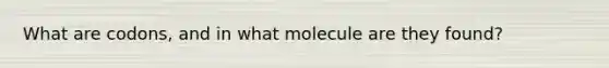 What are codons, and in what molecule are they found?