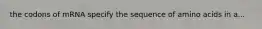 the codons of mRNA specify the sequence of amino acids in a...