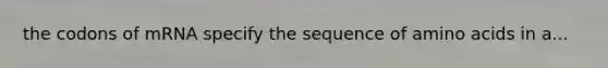 the codons of mRNA specify the sequence of amino acids in a...
