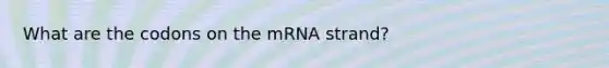 What are the codons on the mRNA strand?