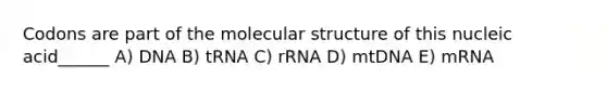 Codons are part of the molecular structure of this nucleic acid______ A) DNA B) tRNA C) rRNA D) mtDNA E) mRNA