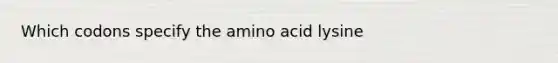 Which codons specify the amino acid lysine