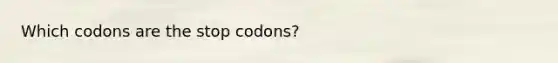 Which codons are the stop codons?