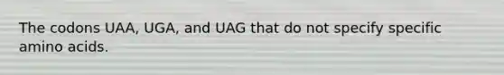 The codons UAA, UGA, and UAG that do not specify specific amino acids.