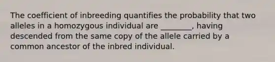 The coefficient of inbreeding quantifies the probability that two alleles in a homozygous individual are ________, having descended from the same copy of the allele carried by a common ancestor of the inbred individual.