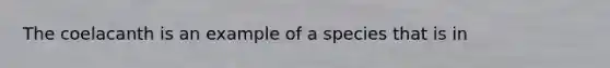 The coelacanth is an example of a species that is in