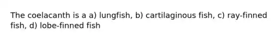 The coelacanth is a a) lungfish, b) cartilaginous fish, c) ray-finned fish, d) lobe-finned fish