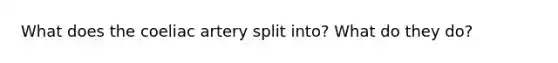 What does the coeliac artery split into? What do they do?