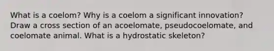 What is a coelom? Why is a coelom a significant innovation? Draw a cross section of an acoelomate, pseudocoelomate, and coelomate animal. What is a hydrostatic skeleton?