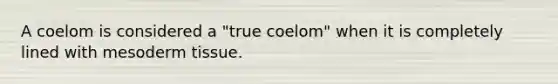 A coelom is considered a "true coelom" when it is completely lined with mesoderm tissue.