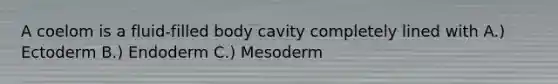 A coelom is a fluid-filled body cavity completely lined with A.) Ectoderm B.) Endoderm C.) Mesoderm