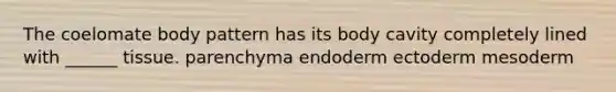 The coelomate body pattern has its body cavity completely lined with ______ tissue. parenchyma endoderm ectoderm mesoderm