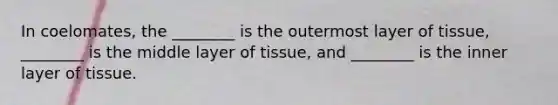 In coelomates, the ________ is the outermost layer of tissue, ________ is the middle layer of tissue, and ________ is the inner layer of tissue.