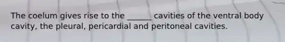 The coelum gives rise to the ______ cavities of the ventral body cavity, the pleural, pericardial and peritoneal cavities.