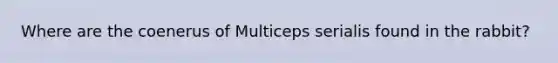 Where are the coenerus of Multiceps serialis found in the rabbit?