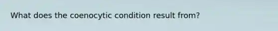 What does the coenocytic condition result from?