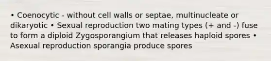 • Coenocytic - without cell walls or septae, multinucleate or dikaryotic • Sexual reproduction two mating types (+ and -) fuse to form a diploid Zygosporangium that releases haploid spores • Asexual reproduction sporangia produce spores